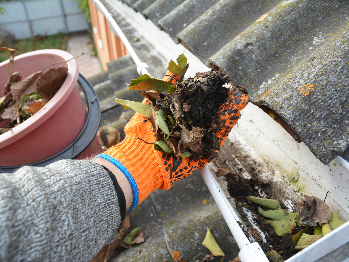 Gutter Cleaning